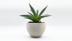 PLA Purifier 1.75 MM-3 KG-Mineral- Recreus