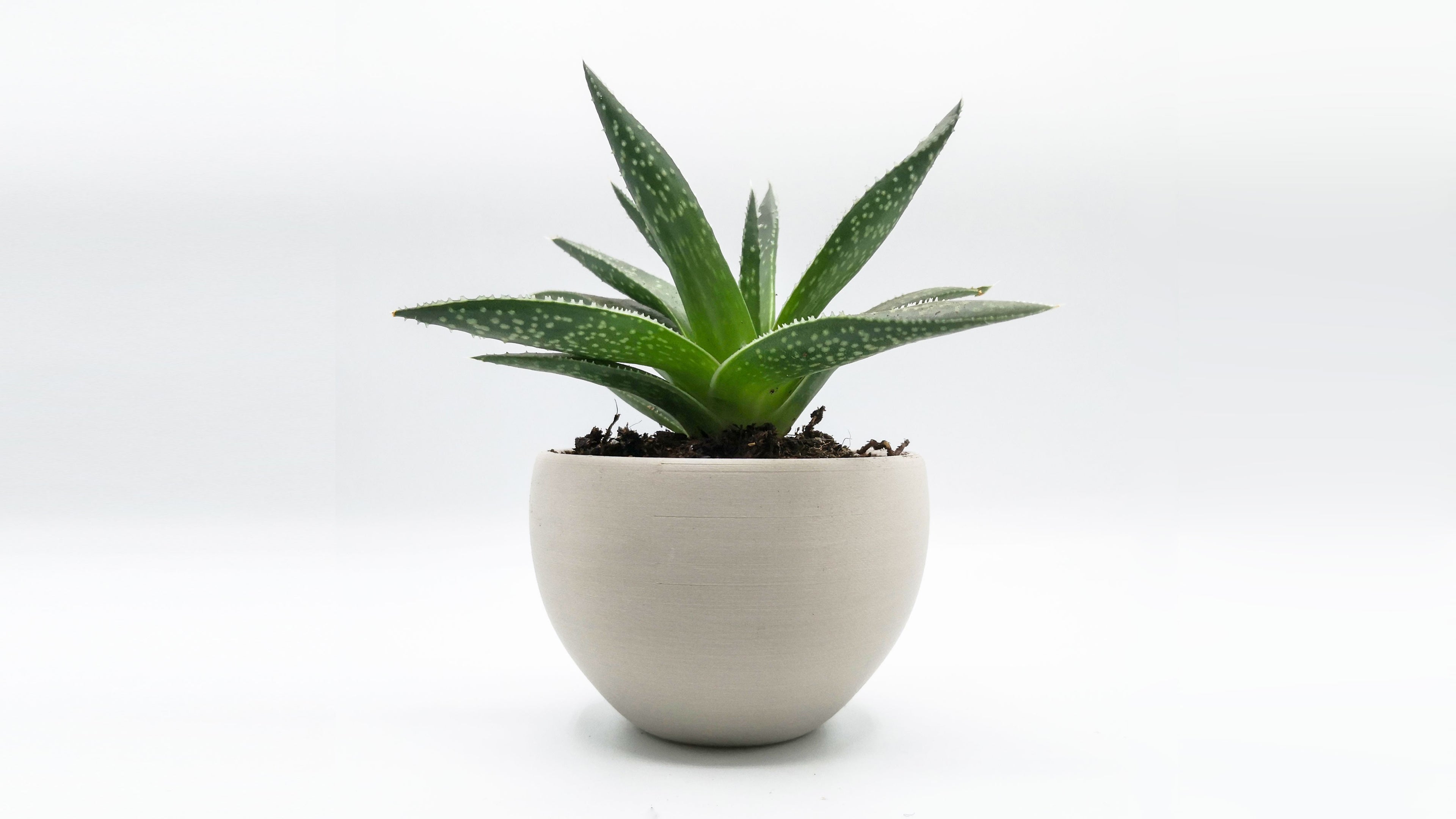 PLA Purifier 1.75 MM-3 KG-Mineral- Recreus